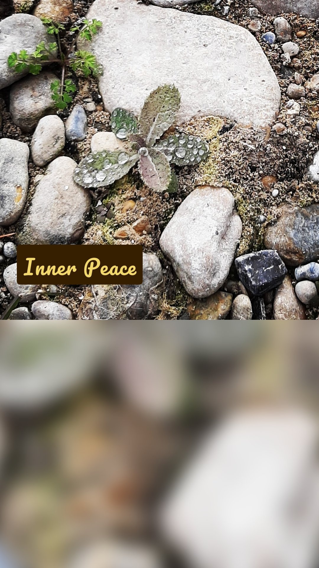 Inner Peace