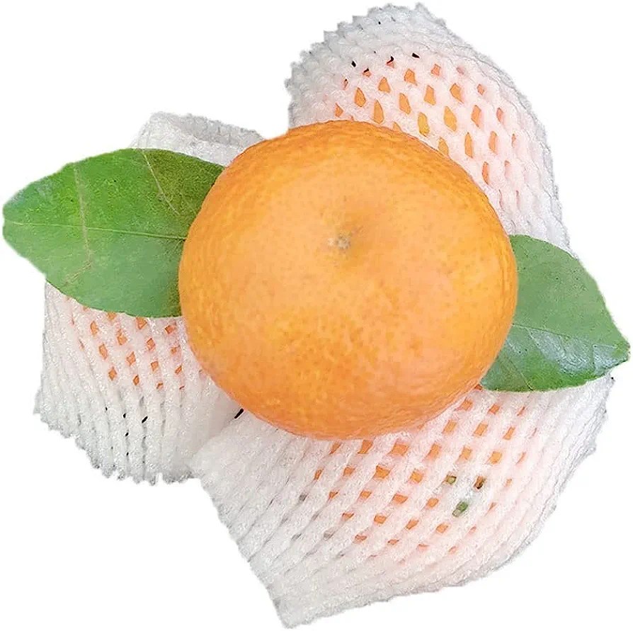 Individual Oranges Wrapped in Foam Netting
